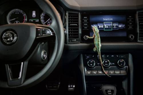 SKODA interior steering wheel and Lizard turning volume button on infotainment system