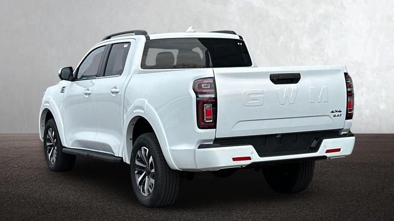 Used GWM POER300 NEW 2