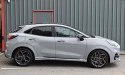 Ford PUMA Photo 1