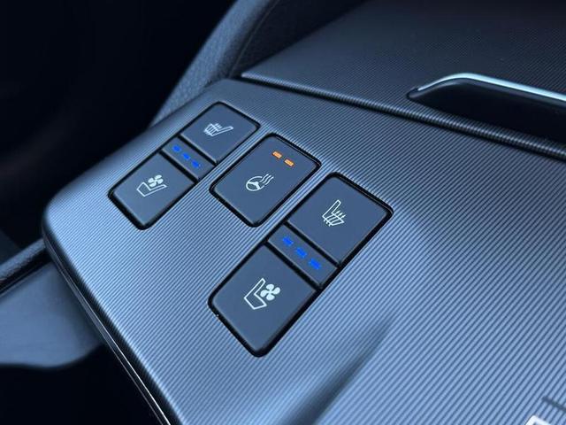 Kia Sportage Photo 051ad949-1b0f-447e-8713-461d6087565f.jpg