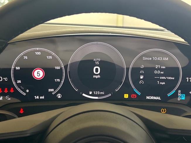 PORSCHE Taycan Photo 16