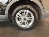 Audi Q3 Photo 32