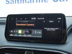 Hyundai Santa Fe Photo 18