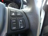 Suzuki S-Cross Photo 31