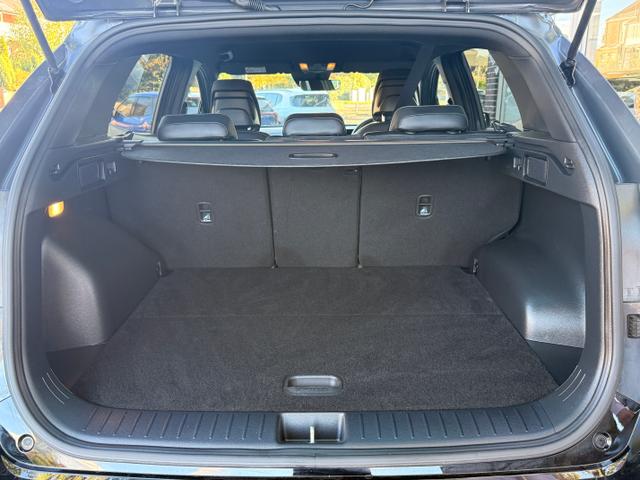 Kia Sportage Photo 0fdb44e5-686d-4dc9-8878-f6ea36054415.jpg
