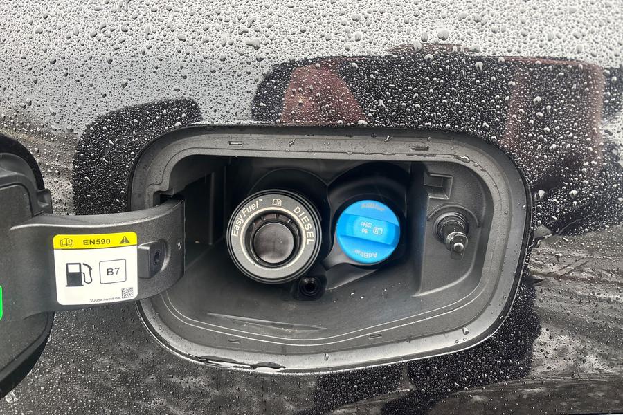 Ford RANGER Photo 10031ce0-1ff1-46ba-b81a-41f6fca15625.jpg