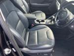 Kia Niro Photo 14