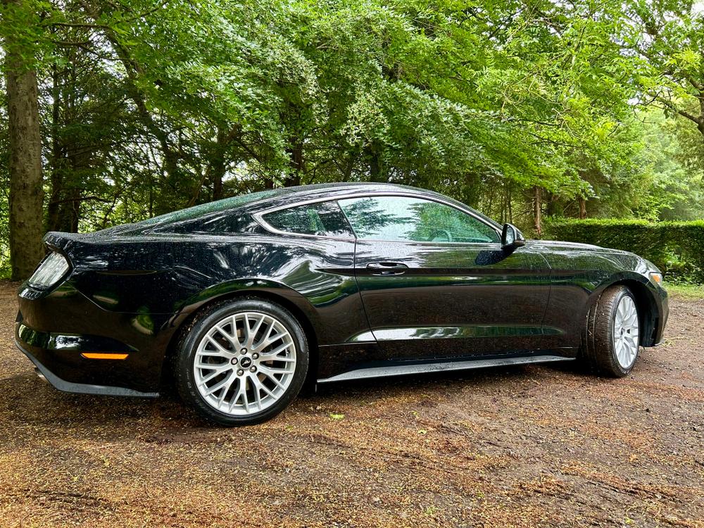 Used Ford Mustang LY16LWJ 14