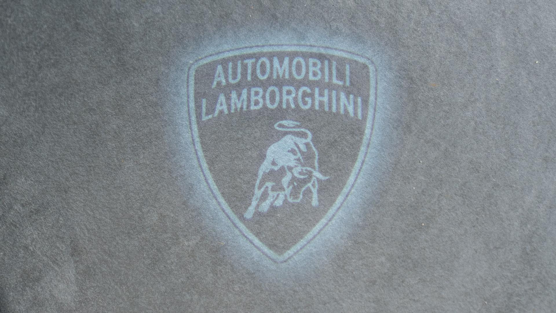 LAMBORGHINI Urus Photo 157abd1c-fad9-470e-a7e9-93e6b93ec729.jpg