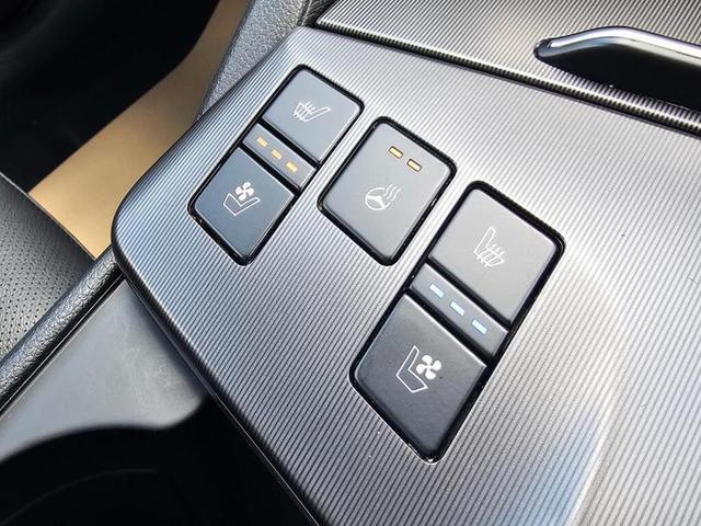 Kia Sportage Photo 1653a64f-86e1-4732-a81b-9fd5e82f59fc.jpg