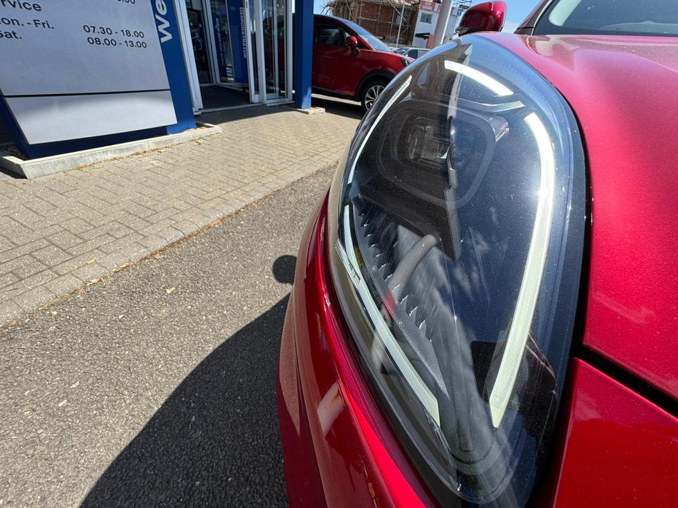 Ford Puma Gen-E Photo 16db7200-c876-450c-9126-2622688e29f6.jpeg