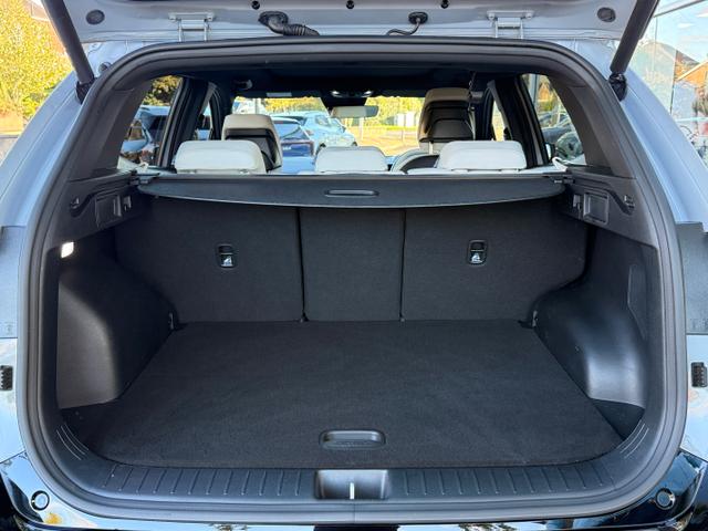 Kia Sportage Photo 1c9915d7-ca64-486e-9c1d-d15ed337521b.jpg