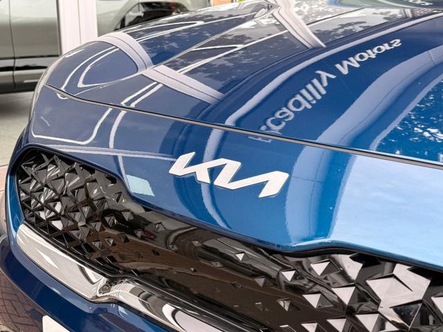 Kia Niro Photo 1d91aa3b-778e-4021-bac1-054922cab134.jpg
