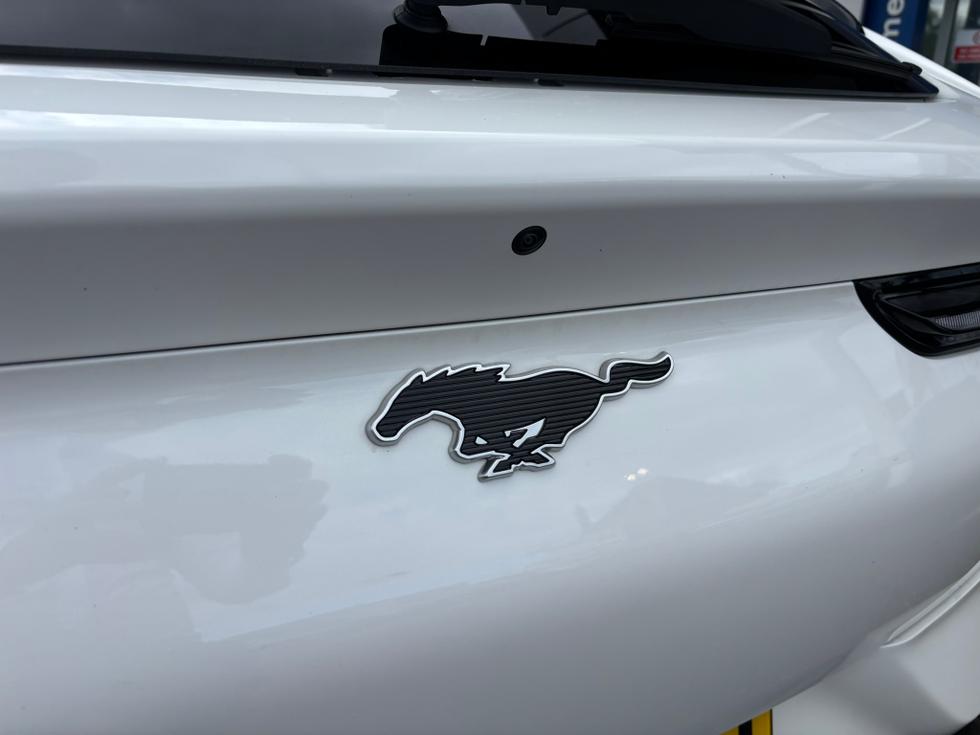 Ford Mustang Mach-E Photo 1e5161a8-02d7-470d-b34a-4d97d174ac36.JPEG