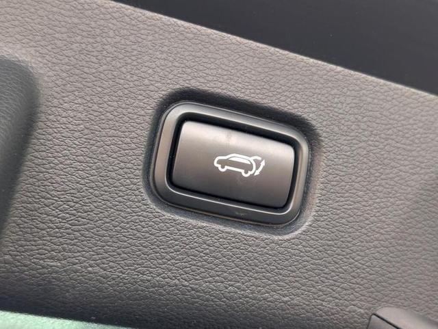 Kia Sportage Photo 1ee384ed-614f-4258-9e72-422ad6403ae7.jpg