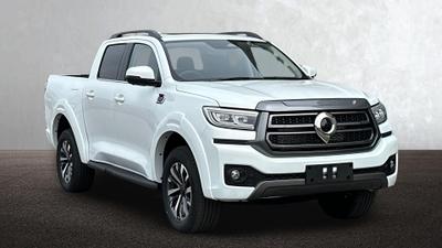 Used GWM POER300 NEW 1