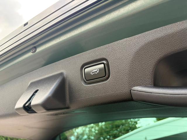 Kia Sportage Photo 24812bcb-3fe1-4c9a-a1f2-a62abe4c4e78.jpg