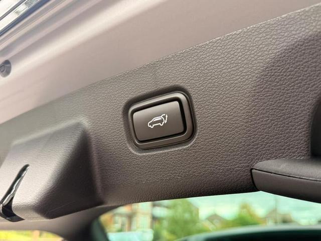 Kia Sportage Photo 24fc64a2-c5e3-4fde-bfb8-6a58aeb1b73a.jpg