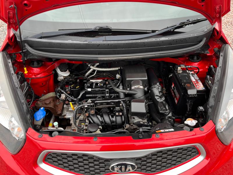 Used Kia Picanto FX15UJF 9