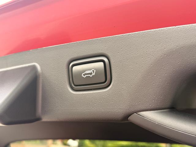 Kia Niro Photo 2621b121-d534-4565-a84f-91b4c71c39ff.jpg