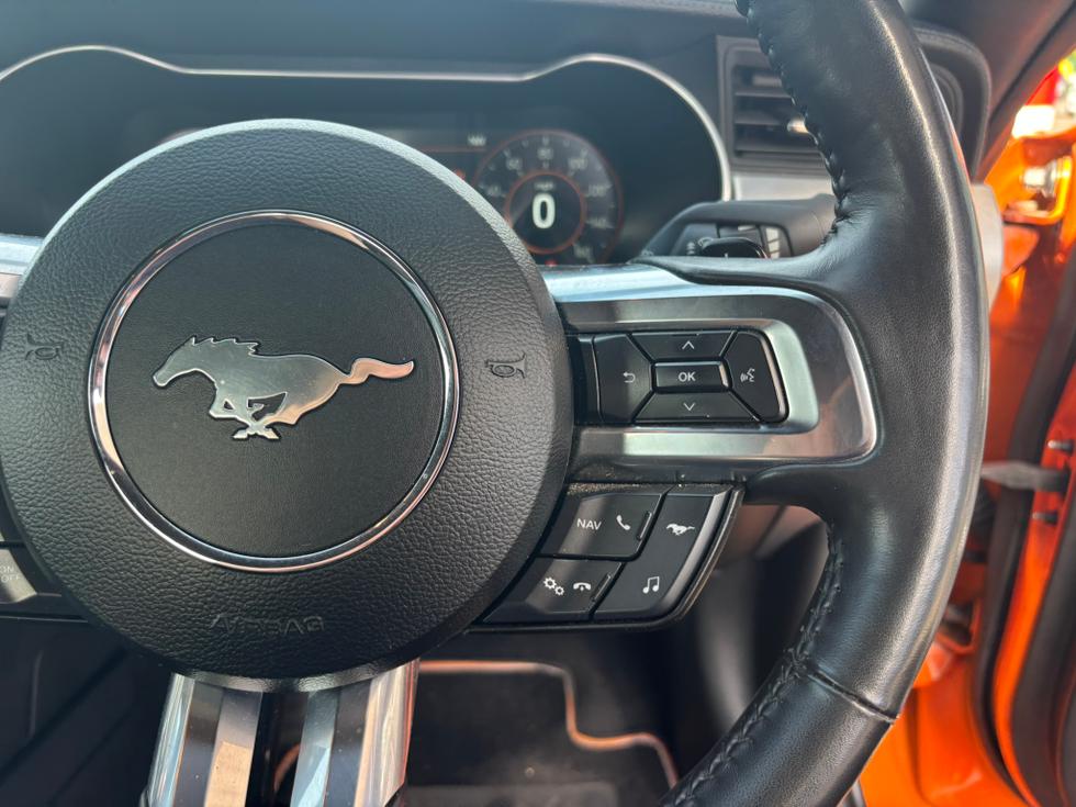 Ford Mustang Photo 2beb6eec-bd7b-47c4-b167-b9efb14738ce.JPEG