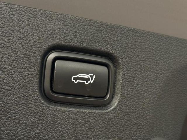 Kia Sportage Photo 2f4d97a0-0579-40e7-93da-4be1031c948e.jpg