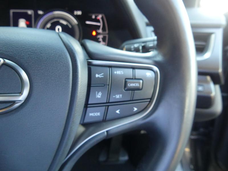 Lexus UX Photo 2f50a278-5177-487a-aa48-7c3677256bc9.jpg