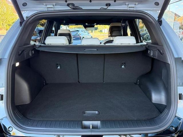 Kia Sportage Photo 32f96ca8-89fe-49fd-b706-6359f07276ec.jpg