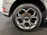 Ford EcoSport Photo 33