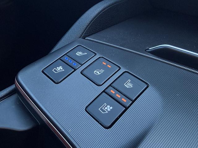 Kia Sportage Photo 3377d525-0bbb-43d8-8bb0-4f8ccd298991.jpg