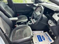 Ford Puma Photo 10