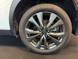 Lexus UX Photo 10