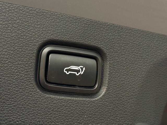 Kia Sportage Photo 39ec9421-1978-4d22-92f5-b1b37aa366f3.jpg