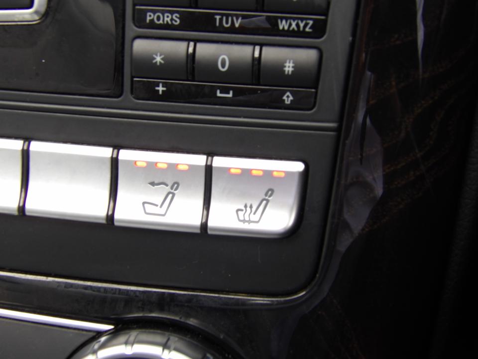 Used Mercedes-Benz SLK YR16MDY 30