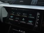 Audi e-tron Photo 16