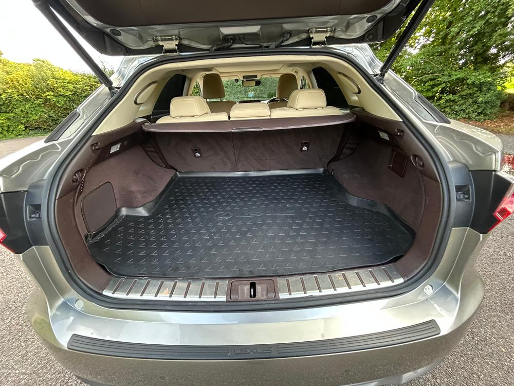 Used Lexus RX DIG8978 12