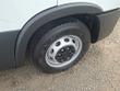 Iveco DAILY Photo 11