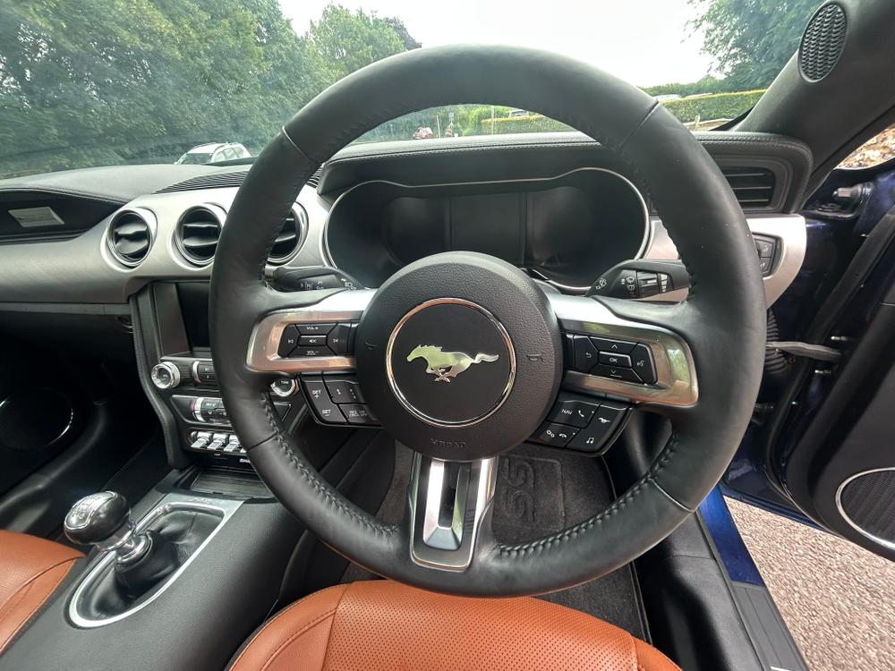 Used Ford Mustang EA18CHL 21