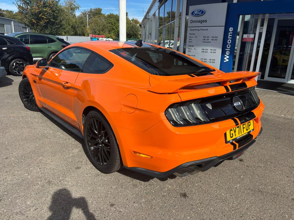 Ford Mustang Photo 4d303442-619e-489a-b17f-d0d86d4d9bd1.JPEG