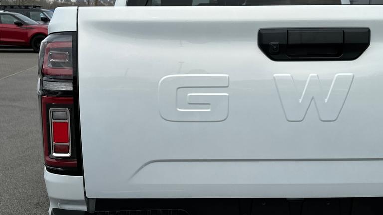 Used GWM POER300 NEW 26