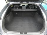 Kia ProCeed Photo 20
