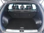 Kia Sportage Photo 5