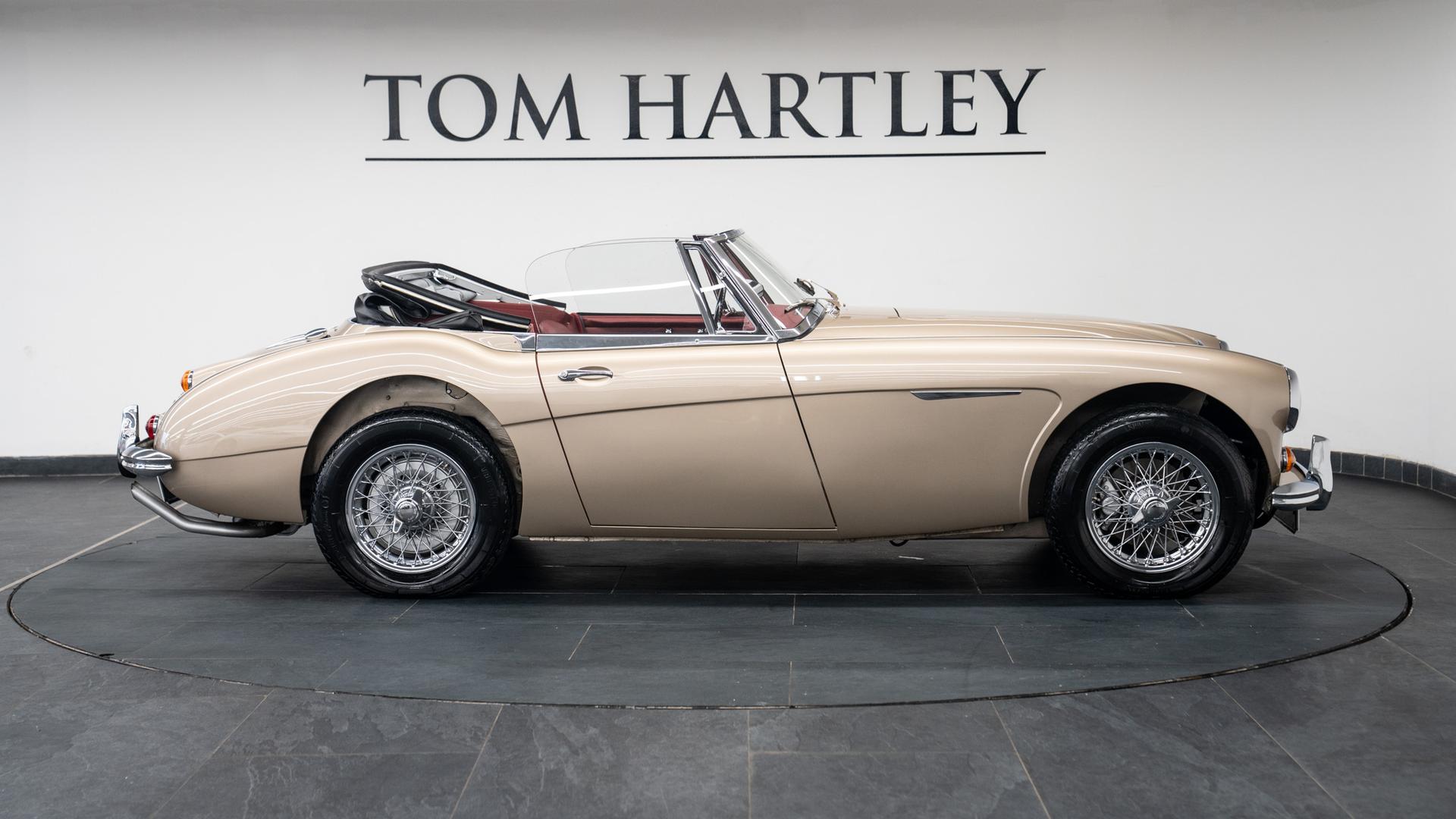 Austin Healey Photo 56a27174-303f-4061-a70e-0d307d789825.jpg