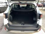 Kia Sportage Photo 10