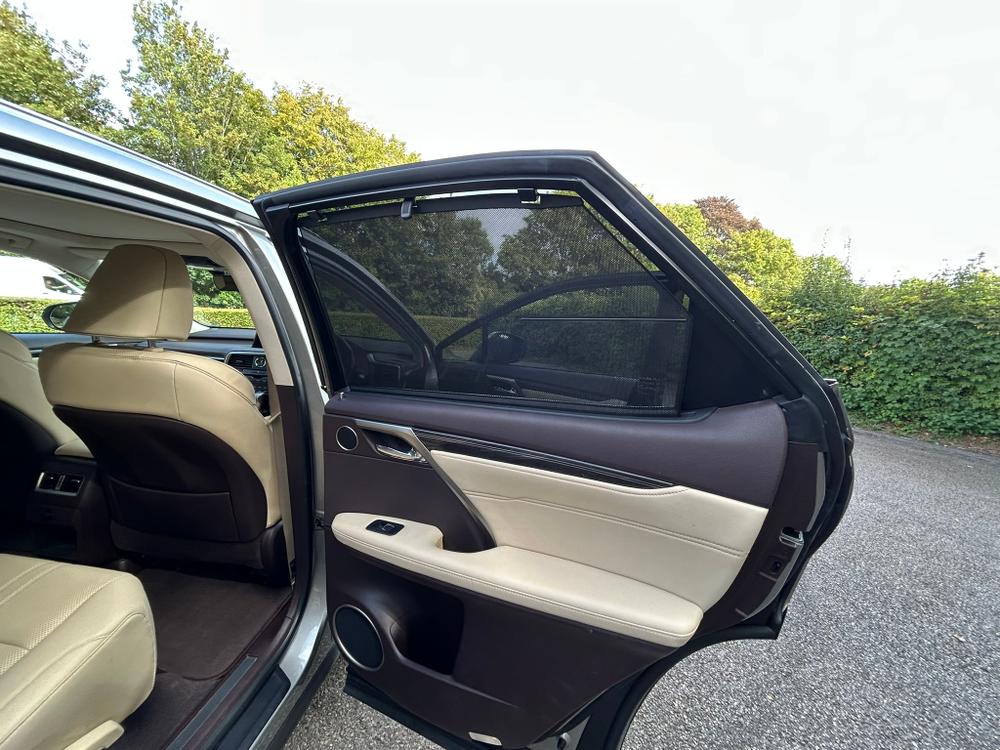 Used Lexus RX DIG8978 30