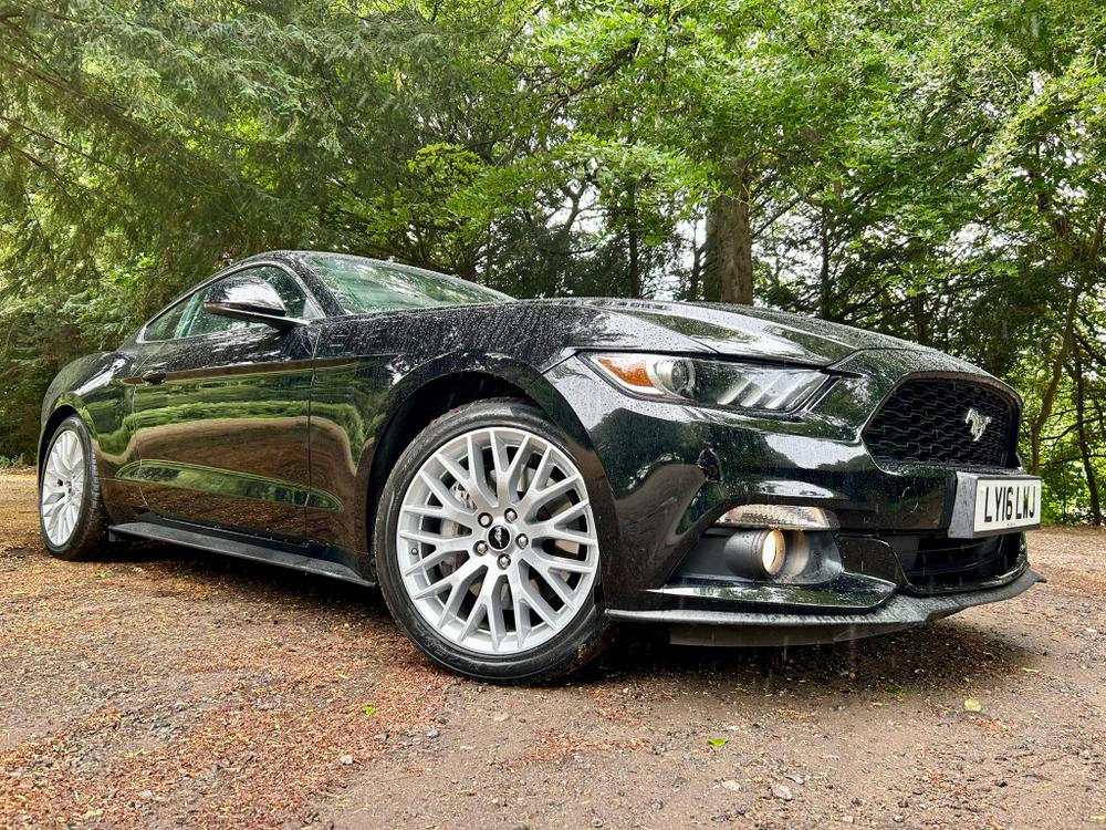Used Ford Mustang LY16LWJ 12