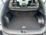 Kia Sportage Photo 12