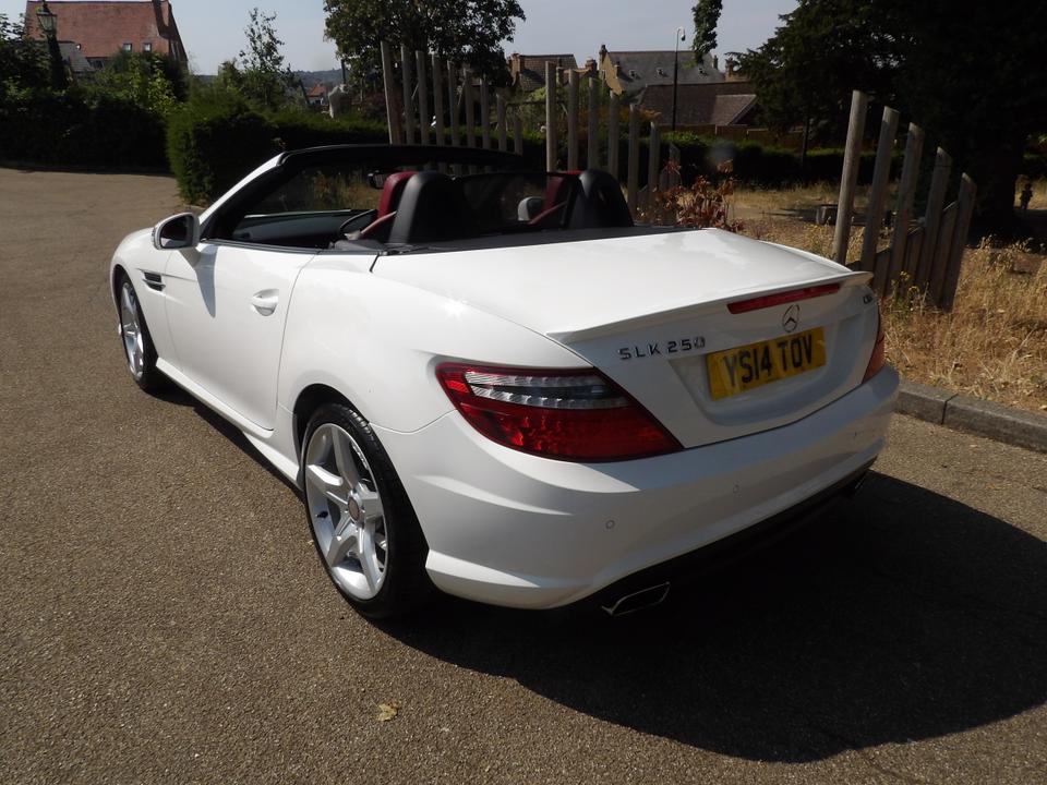 Used Mercedes-Benz SLK YS14TOV 12