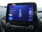 Ford Puma Photo 12