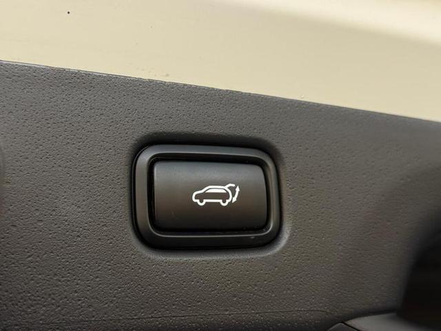Kia Niro Photo 6d23ec66-f9ed-4c73-b3b9-215aa9fae551.jpg